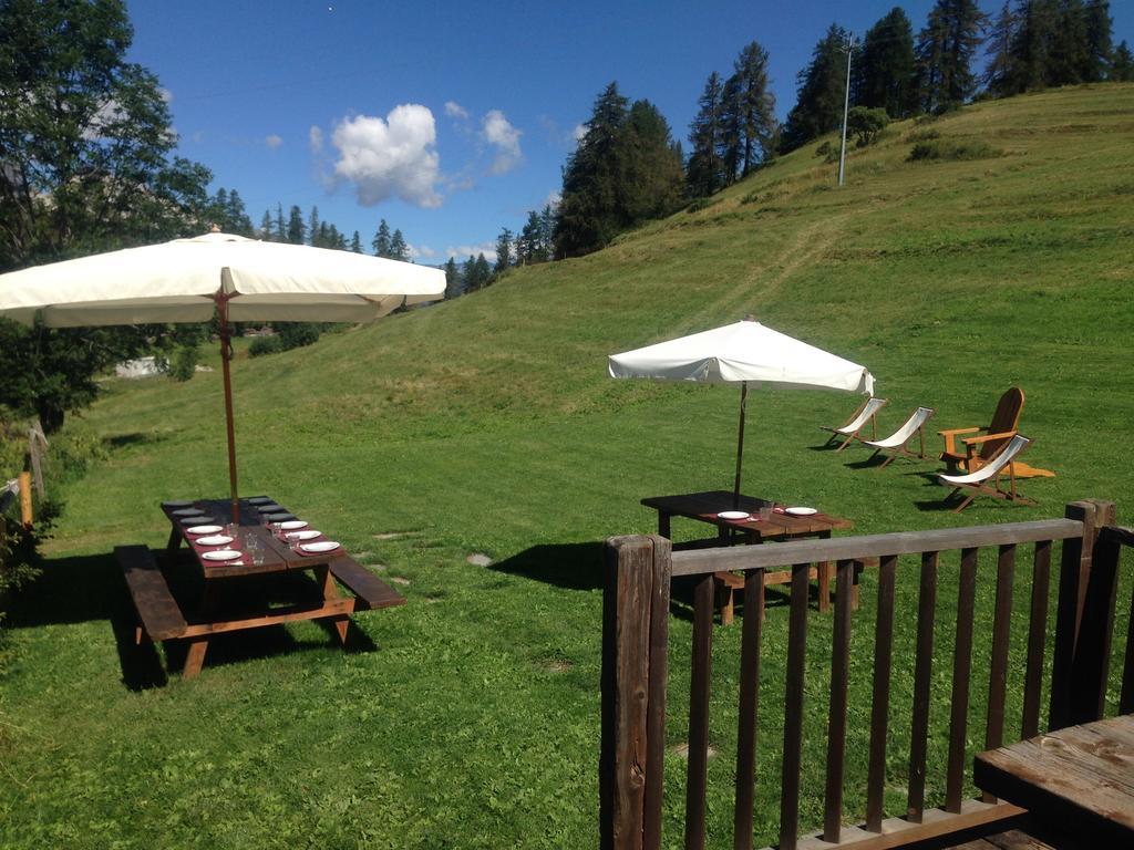 Agriturismo Il Fiocco 세사나토리니즈 외부 사진