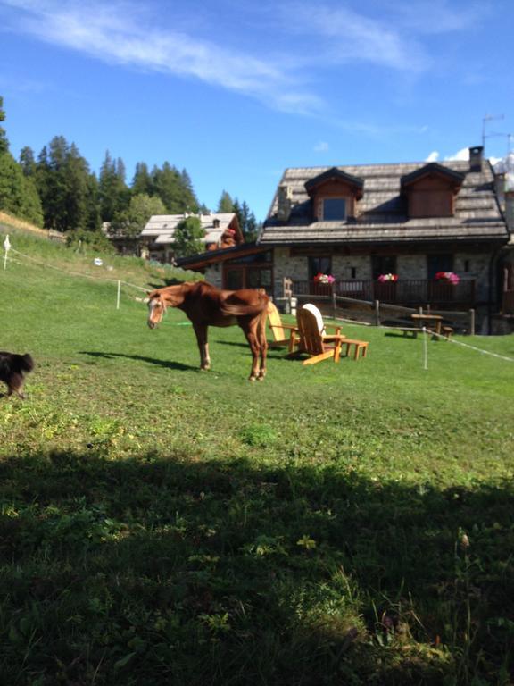 Agriturismo Il Fiocco 세사나토리니즈 외부 사진